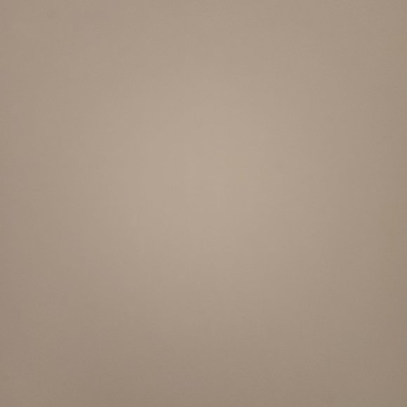 Meet your Posher, Maggie - Picture 1 of 1